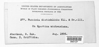 Image Associated With the Occurence